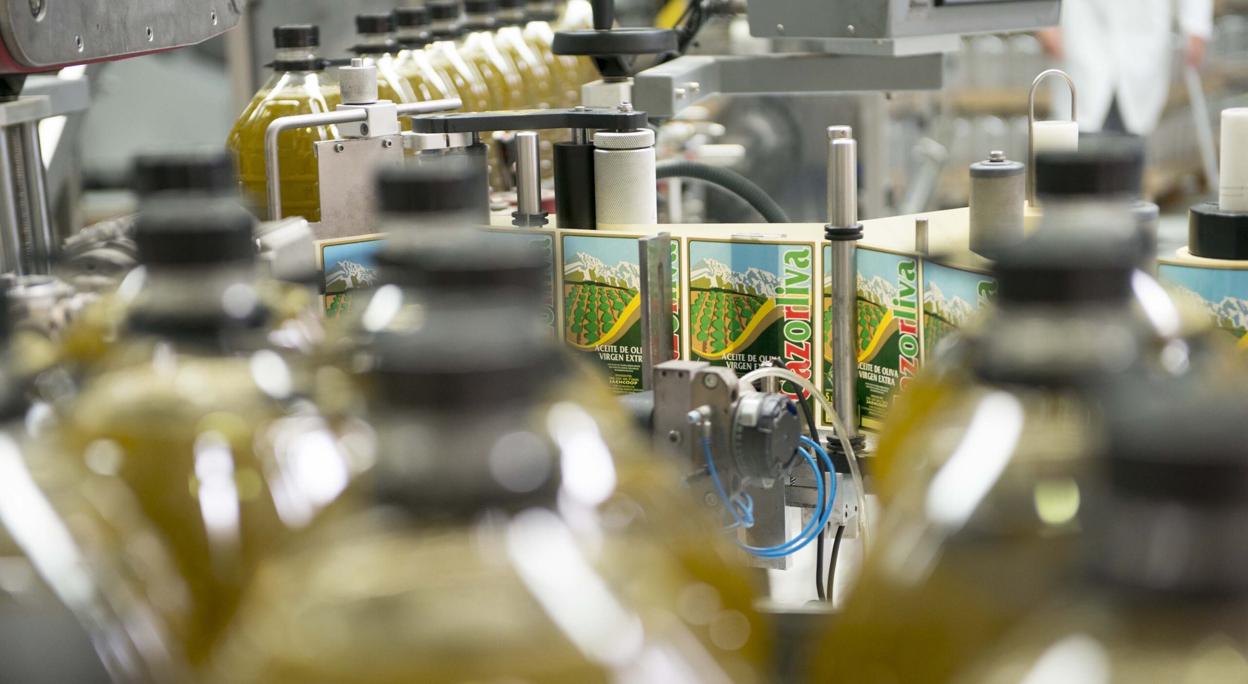 Procesamiento de las aceitunas