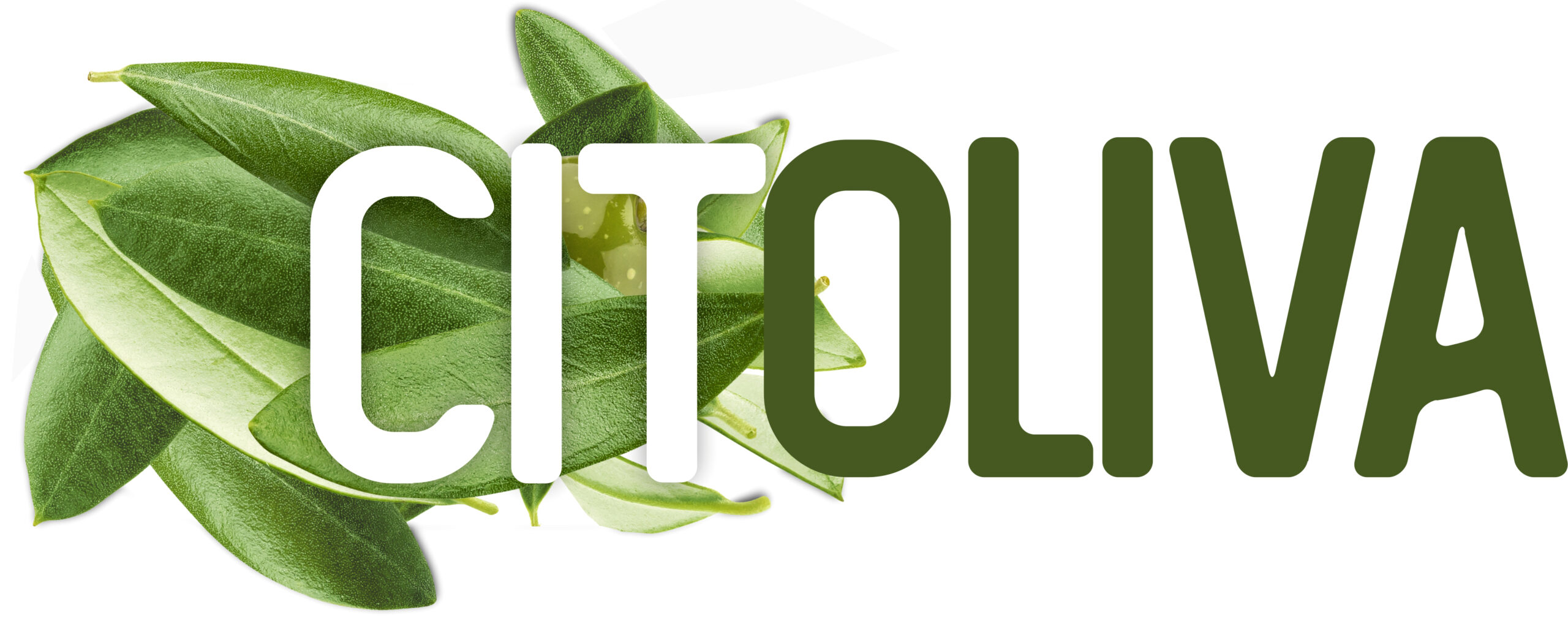 Citoliva